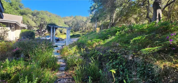 a view of a yard with plants and trees