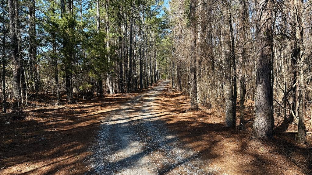 316 Keels Road West Hodges, SC 29653 - Photo 6 of 67