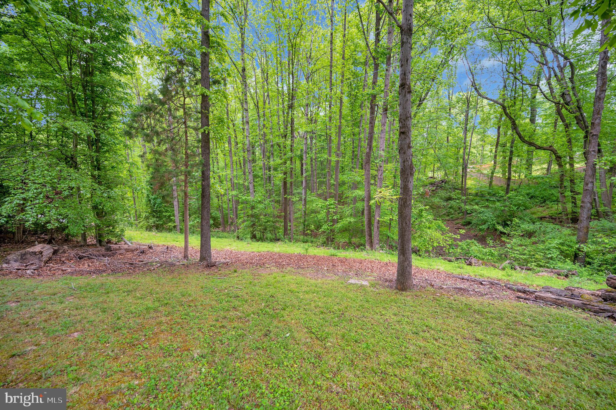 7007 Signal Hill Road Manassas, VA 20111 - Photo 35 of 45 Gallery Image 35