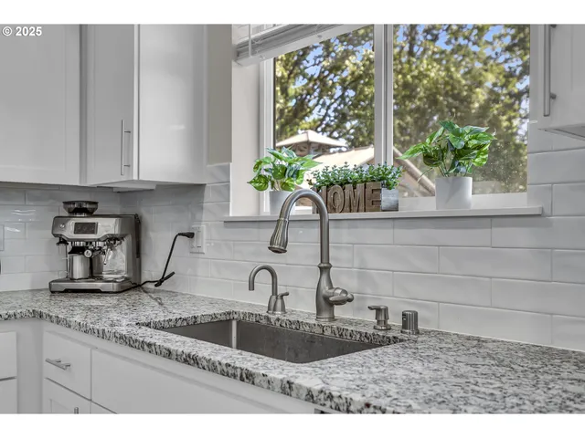 a kitchen with a granite countertop sink and potted plant