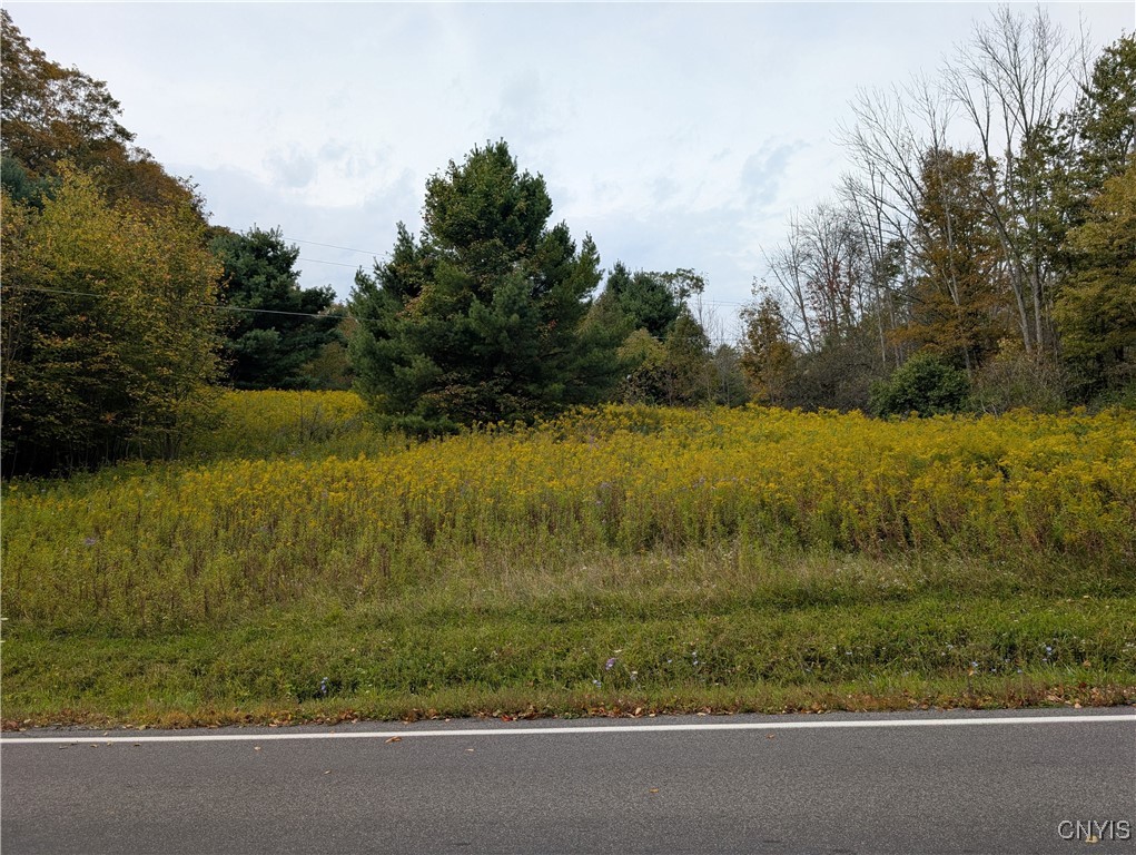 Sacco Road Hamilton, NY 13346 - Photo 2 of 3 View from Gorton Road