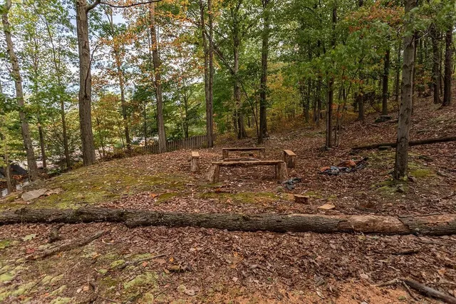 a view of a yard with trees