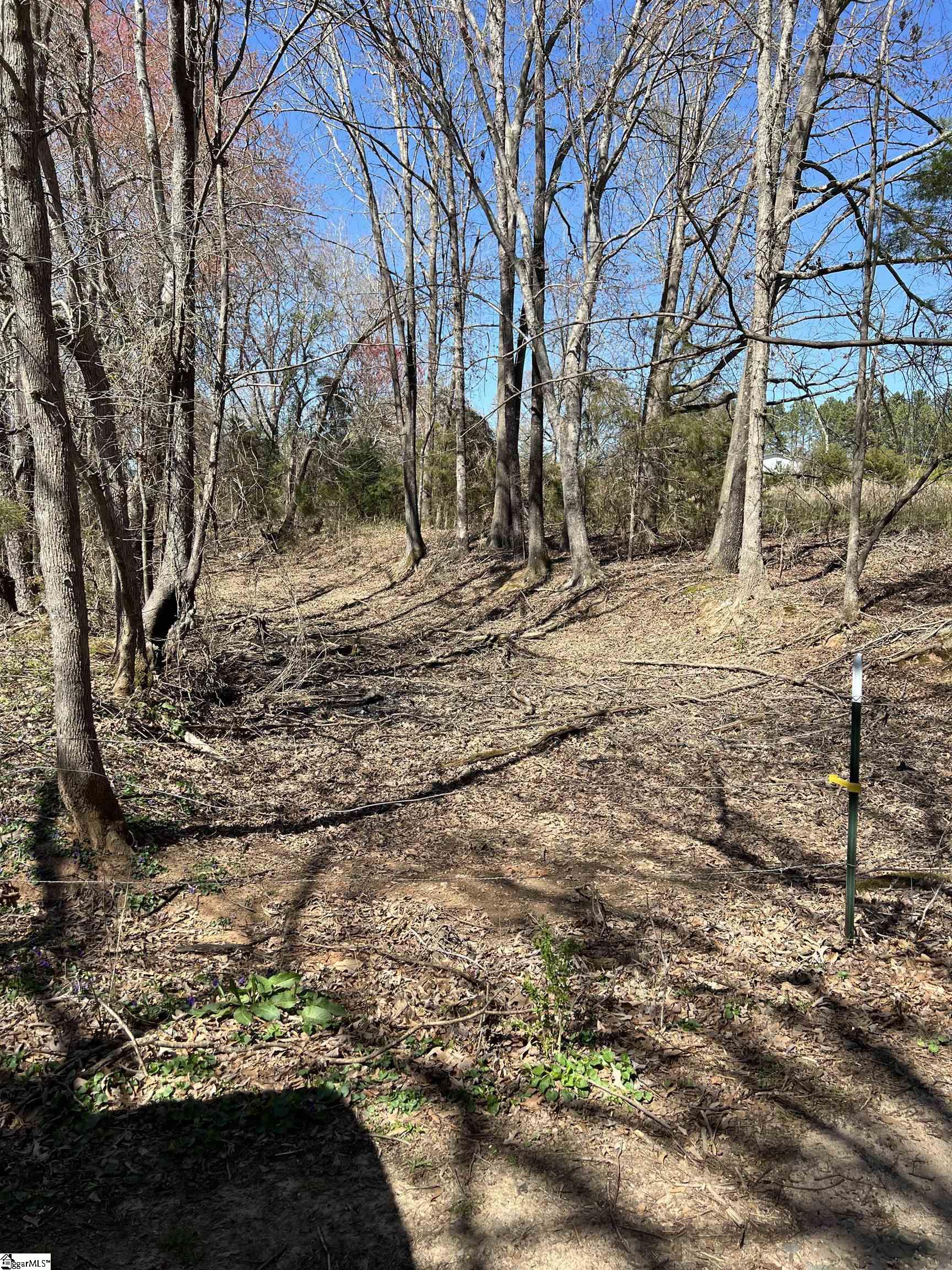 76 Log Cabin Drive Ware Shoals, SC 29692 - Photo 30 of 39