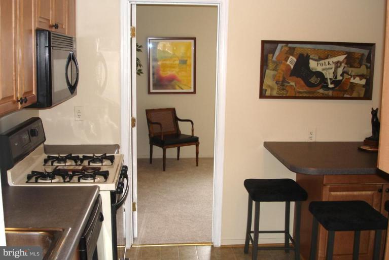 19307 Club House Road, Unit 101 Gaithersburg, MD 20886 - Photo 2 of 8 Kitchen