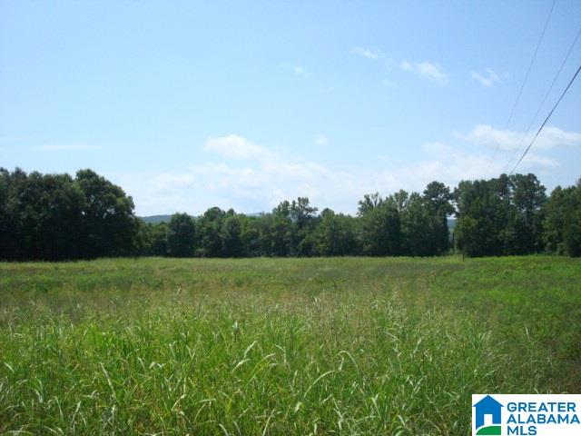 0 Dabbs Road, Unit 19 & 20 Oxford, AL 36203 - Photo 15 of 33