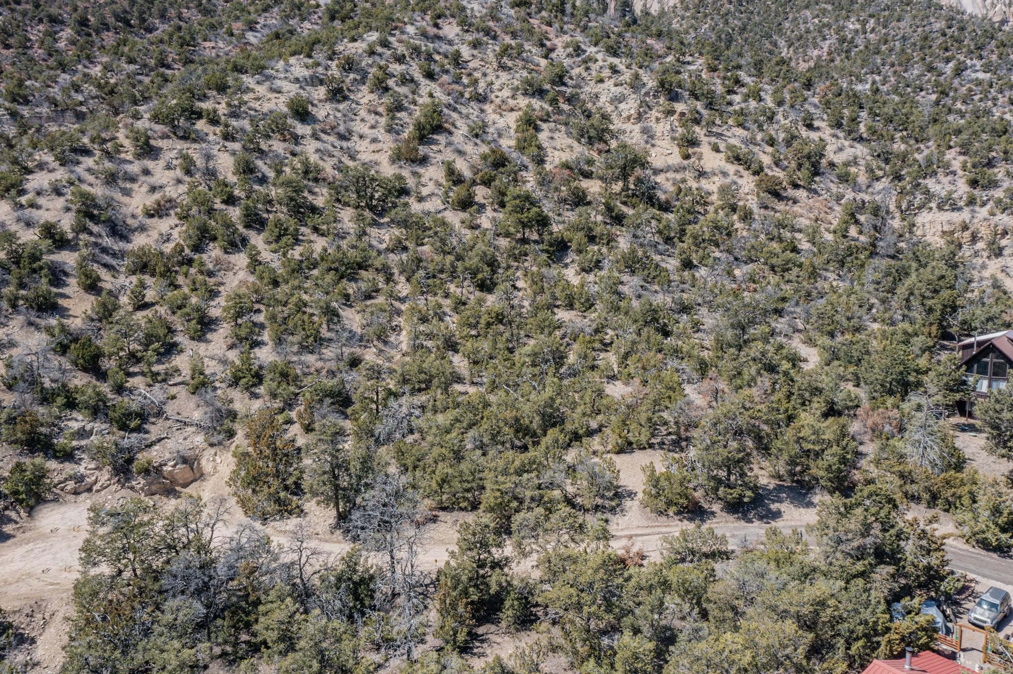 45 A Banco Bonito Road Jemez Springs, NM 87025 - Photo 5 of 17