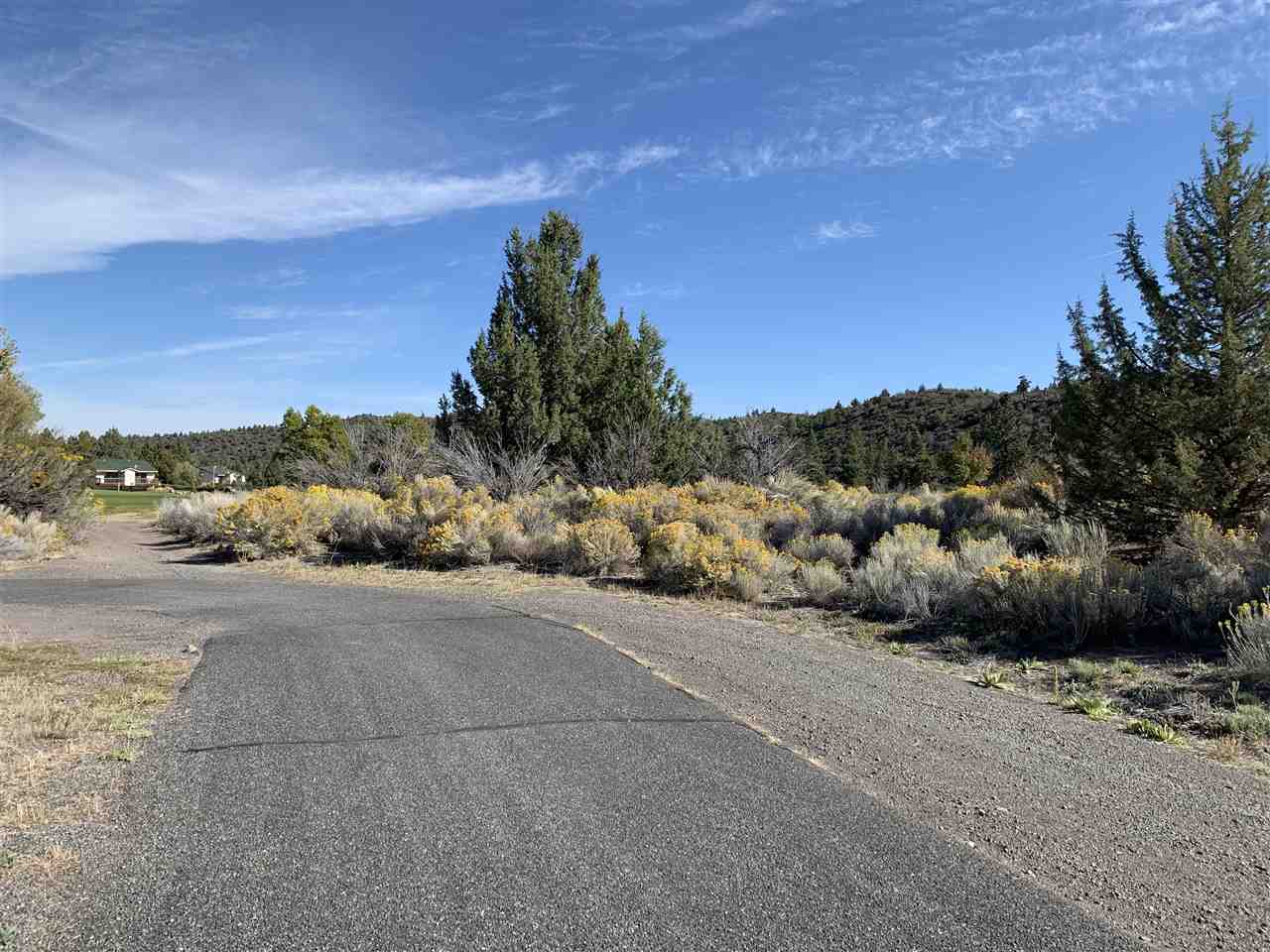 Lot 259 Casper Road Weed, CA 96094 - Photo 6 of 14 Gallery Image 6
