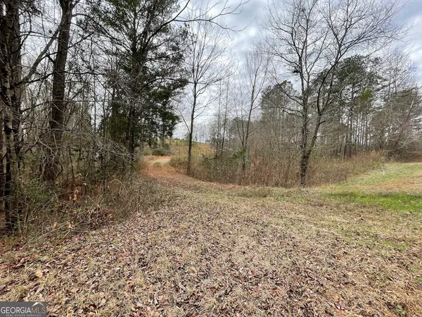 $229,000 | 600 Reynolds Road, Woodbury, GA 30293