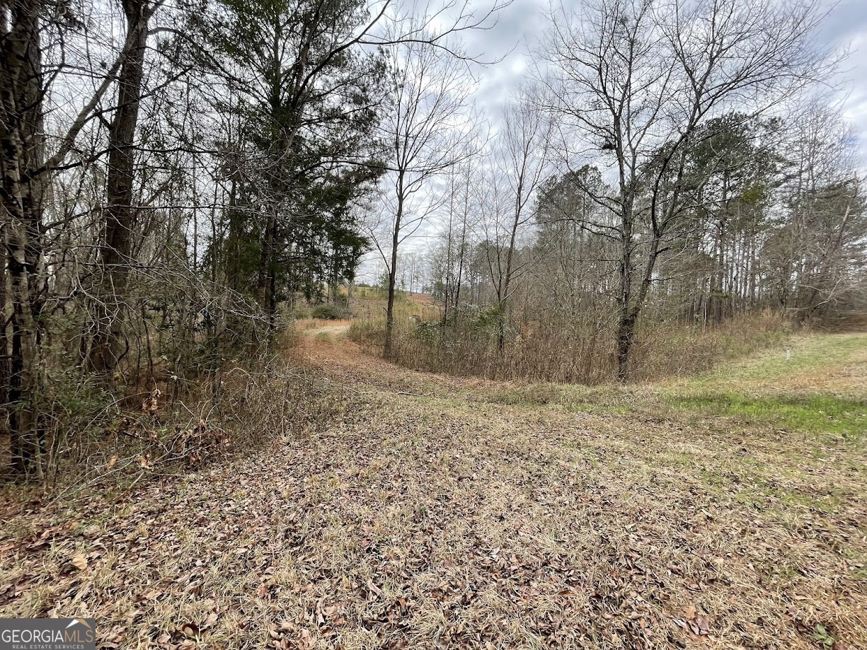 600 Reynolds Road Woodbury, GA 30293 - Photo 2 of 7 a view of a yard with large trees