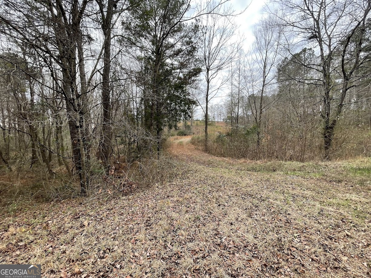 600 Reynolds Road Woodbury, GA 30293 - Photo 4 of 7 a view of a yard with trees