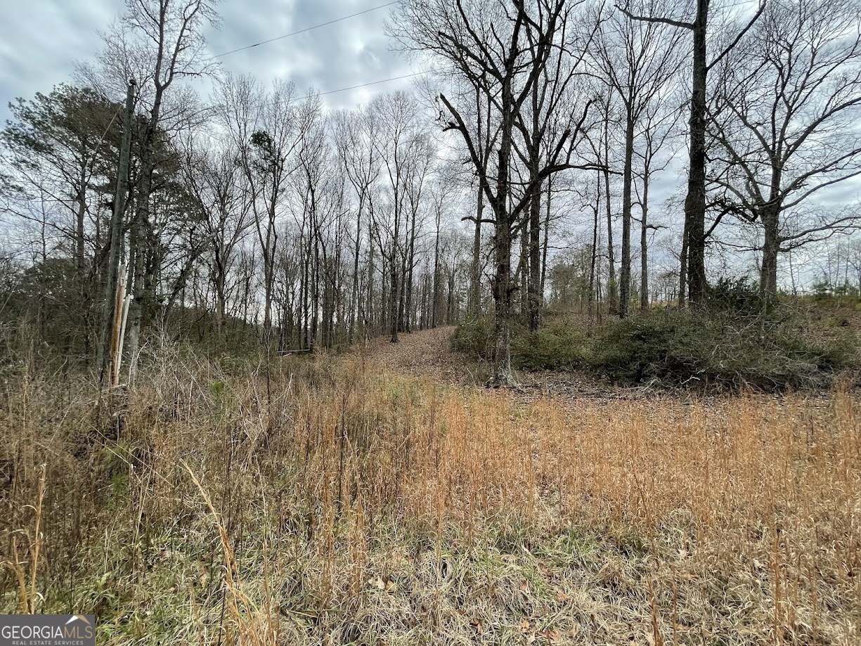 600 Reynolds Road Woodbury, GA 30293 - Photo 5 of 7 a view of backyard with green space