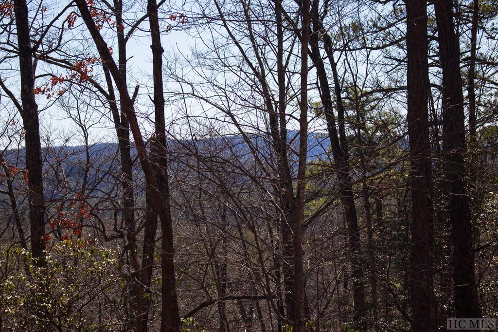 Lot Oak Oak Laurel Road Brevard, NC 28712 - Photo 3 of 13 Gallery Image 3