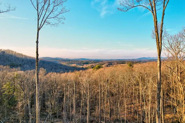 $729,900 | 23 Green Cabin Way, Talking Rock, GA 30175