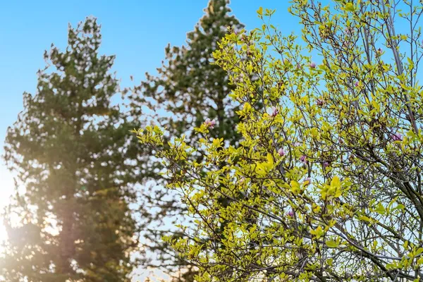 $3,050,000 | 11891 Brookglen Drive, Saratoga, CA 95070