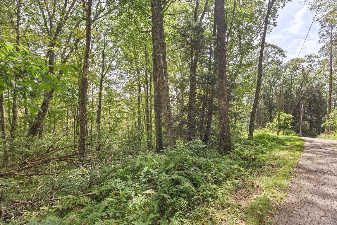 69 Homer Potts Road Highlands, NC 28741 - Photo 55 of 61 Gallery Image 55