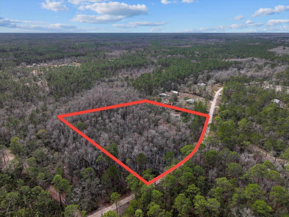 17641 Aucilla River Estates Lamont, FL 32336 - Photo 15 of 19