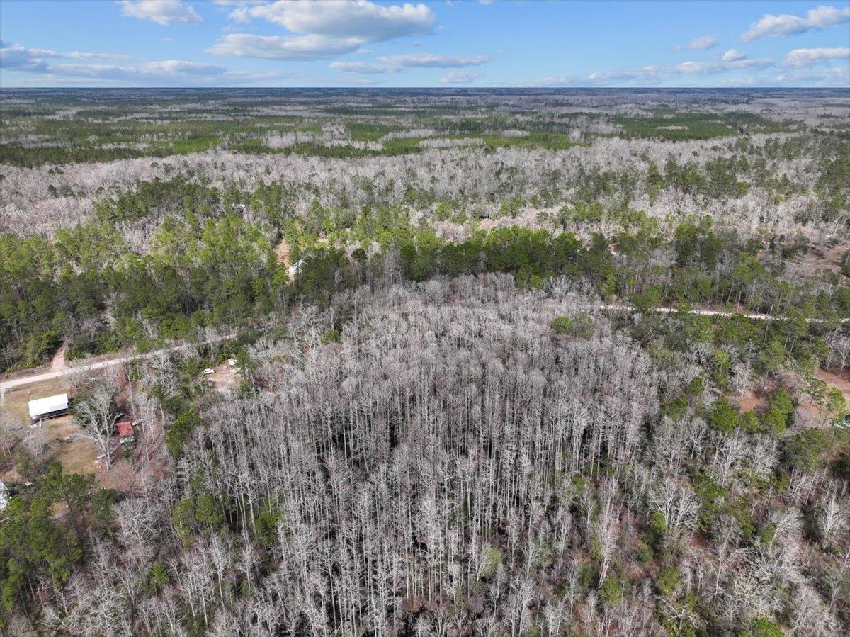 17641 Aucilla River Estates Lamont, FL 32336 - Photo 4 of 19