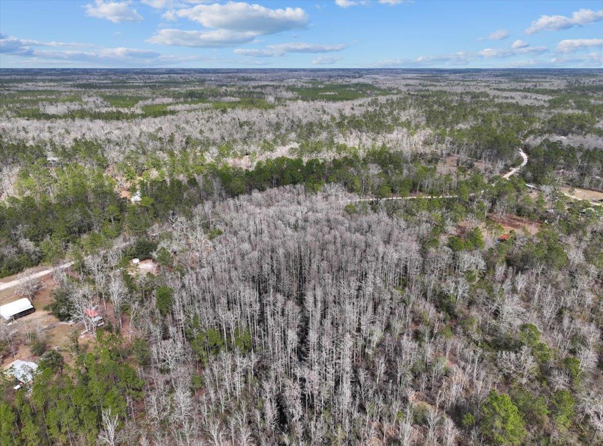 17641 Aucilla River Estates Lamont, FL 32336 - Photo 5 of 19