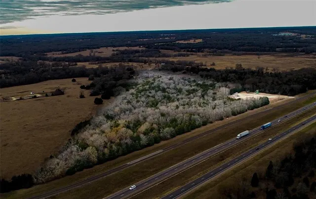 a view of a lot of trees
