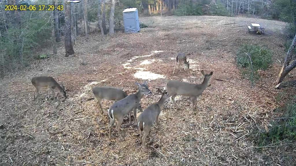 Tbd Tbd I-45 Teague, TX 75860 - Photo 8 of 8 a view of a dry yard with wooden fence
