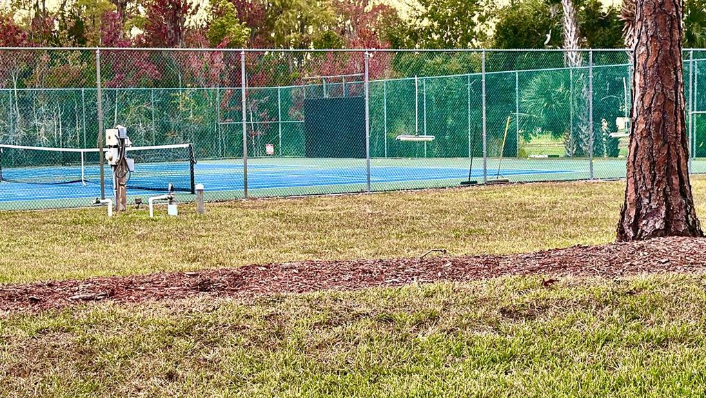 12013 Boynton Lane New Port Richey, FL 34654 - Photo 13 of 13