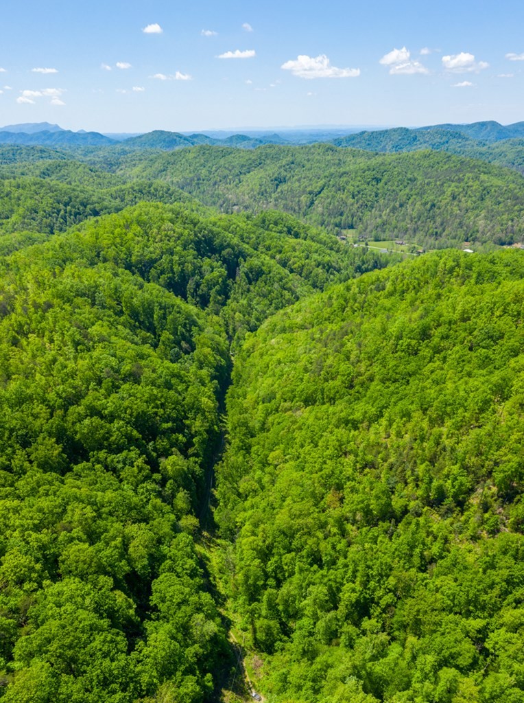 0 Henry Town Road Sevierville, TN 37876 - Photo 7 of 38 Gallery Image 7