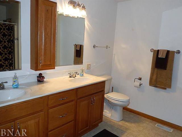 9743 North Ridge Circle Clinton, IL 61727 - Photo 14 of 22
