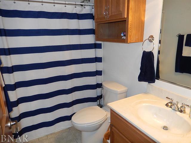 9743 North Ridge Circle Clinton, IL 61727 - Photo 17 of 22
