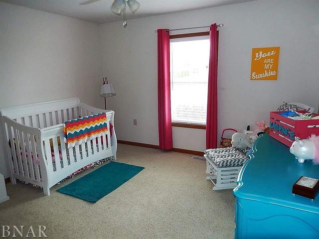 9743 North Ridge Circle Clinton, IL 61727 - Photo 18 of 22