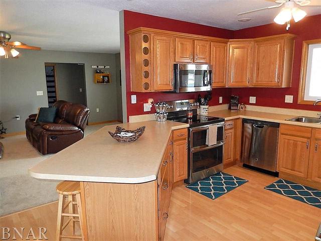 9743 North Ridge Circle Clinton, IL 61727 - Photo 7 of 22