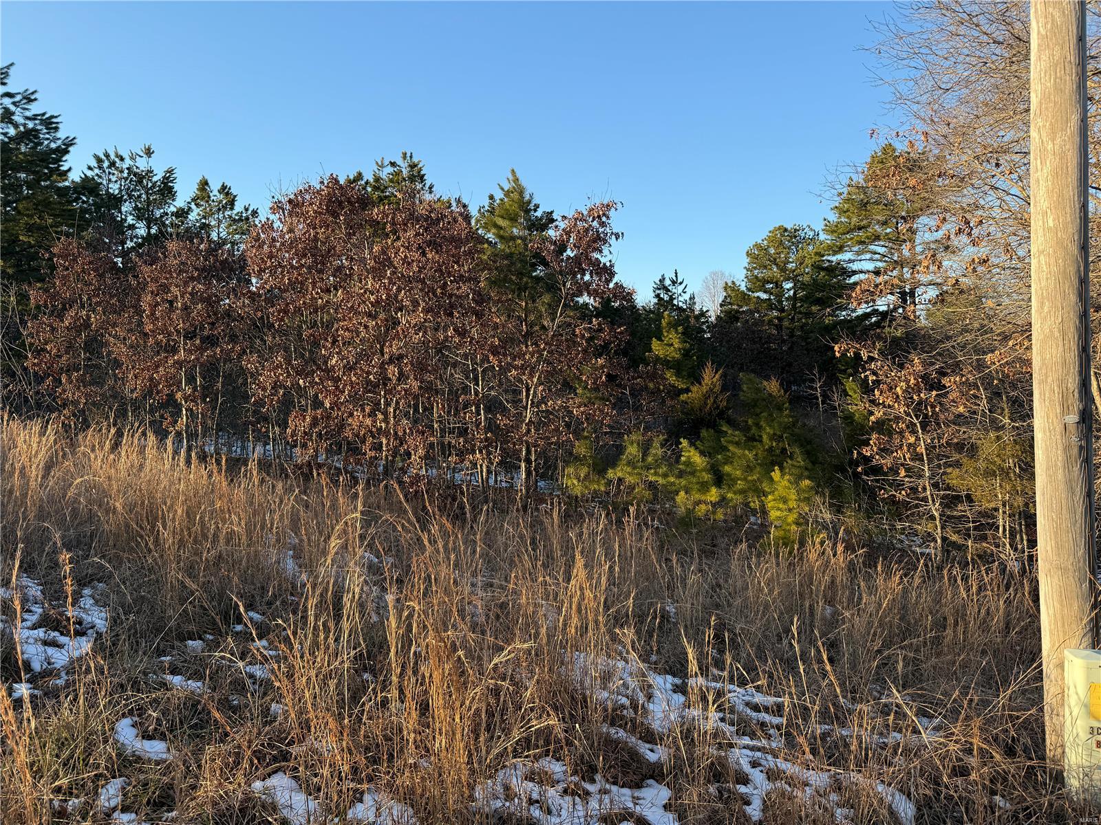 0 Pine Meadow Trail Raymondville, MO 65555 - Photo 2 of 7