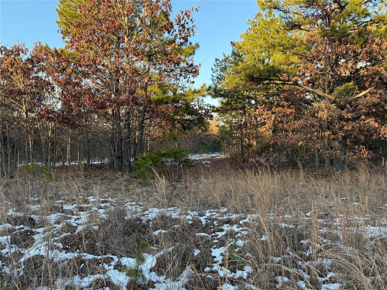 0 Pine Meadow Trail Raymondville, MO 65555 - Photo 3 of 7