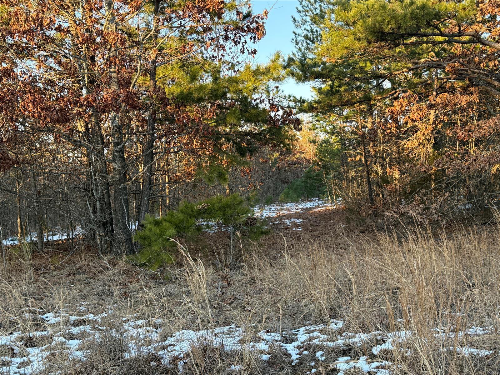 0 Pine Meadow Trail Raymondville, MO 65555 - Photo 4 of 7