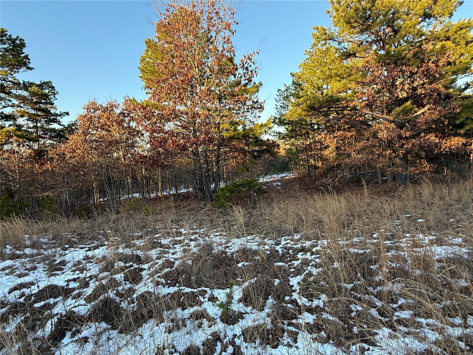 0 Pine Meadow Trail Raymondville, MO 65555 - Photo 5 of 7