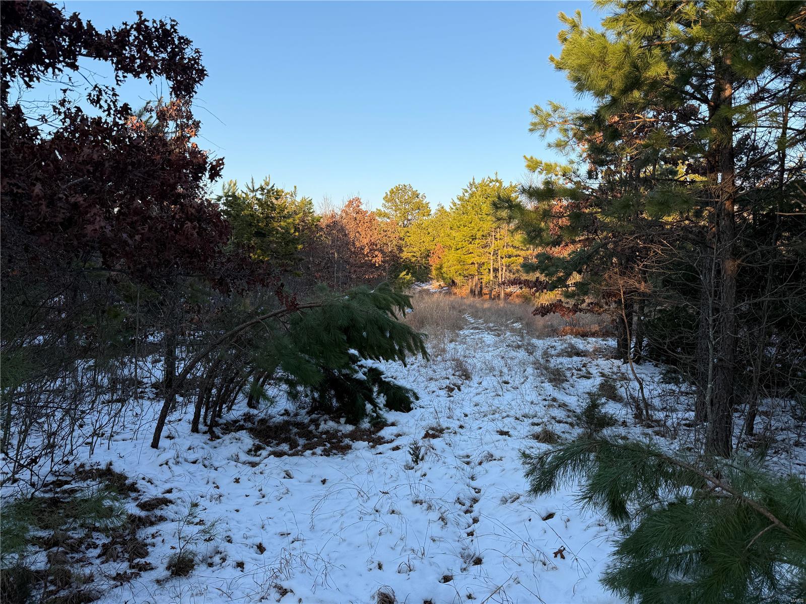 0 Pine Meadow Trail Raymondville, MO 65555 - Photo 7 of 7