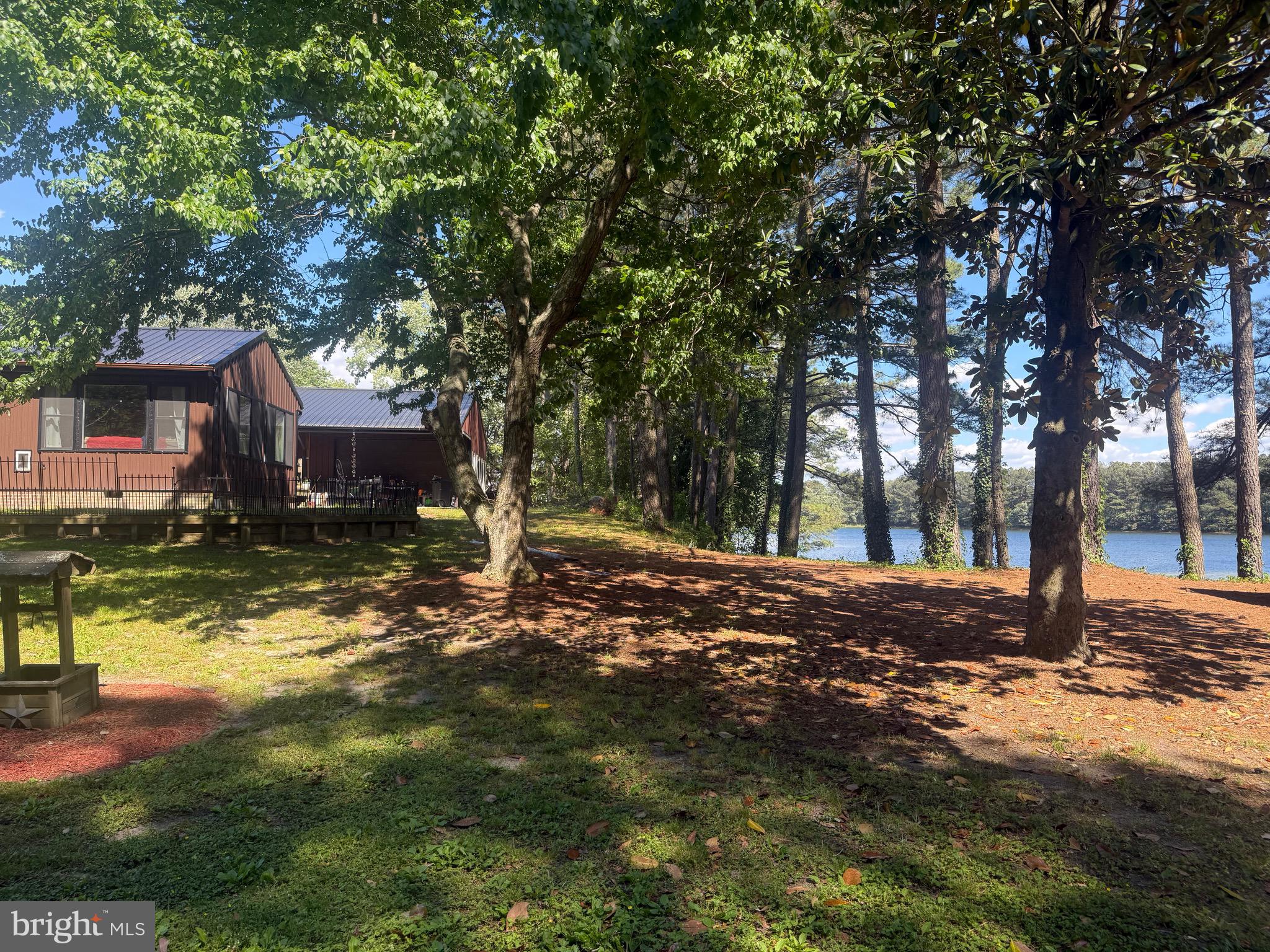 1214 Johnson Road Salisbury, MD 21804 - Photo 14 of 59 a view of a yard with plants and trees