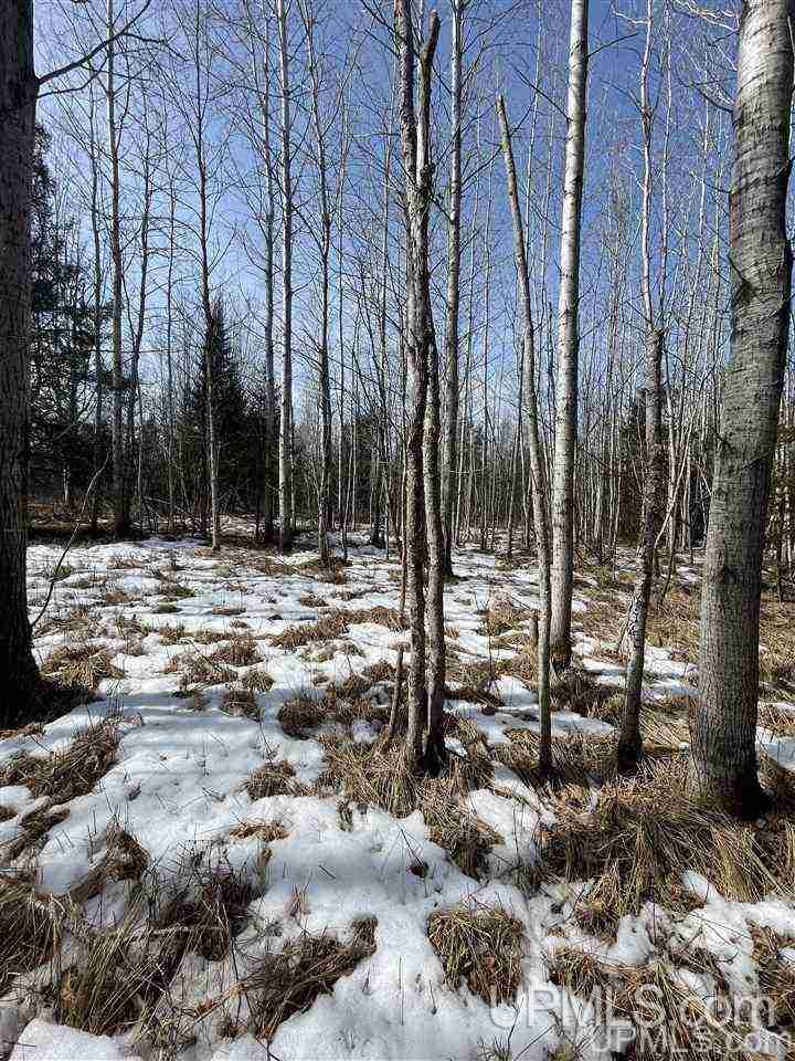 Tbd Tbd Co Road, Unit 1 Marquette, MI 49855 - Photo 37 of 50