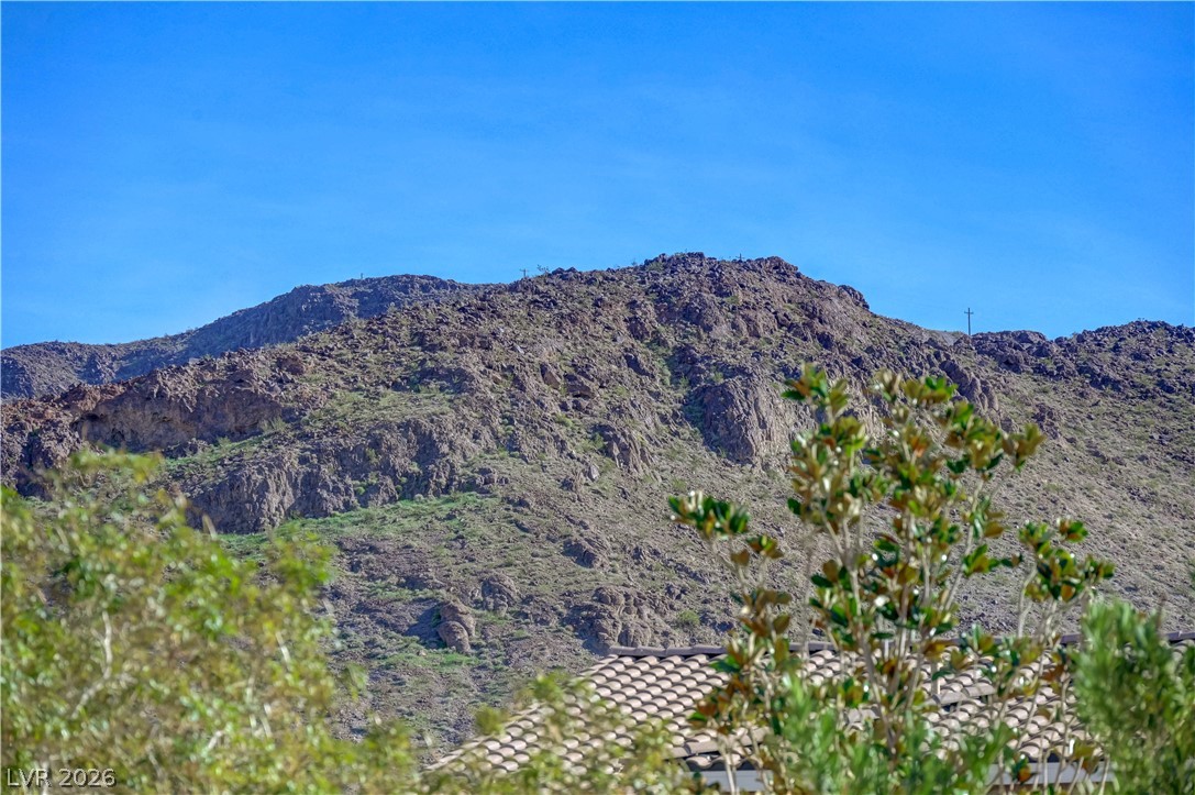 176 Kirkton Street Henderson, NV 89012 - Photo 75 of 80