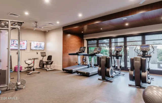 a view of a patio with table and chairs potted plants and palm tree