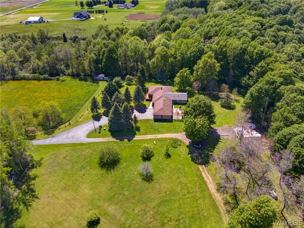 540 Shumway Road Sweden, NY 14420 - Photo 6 of 50