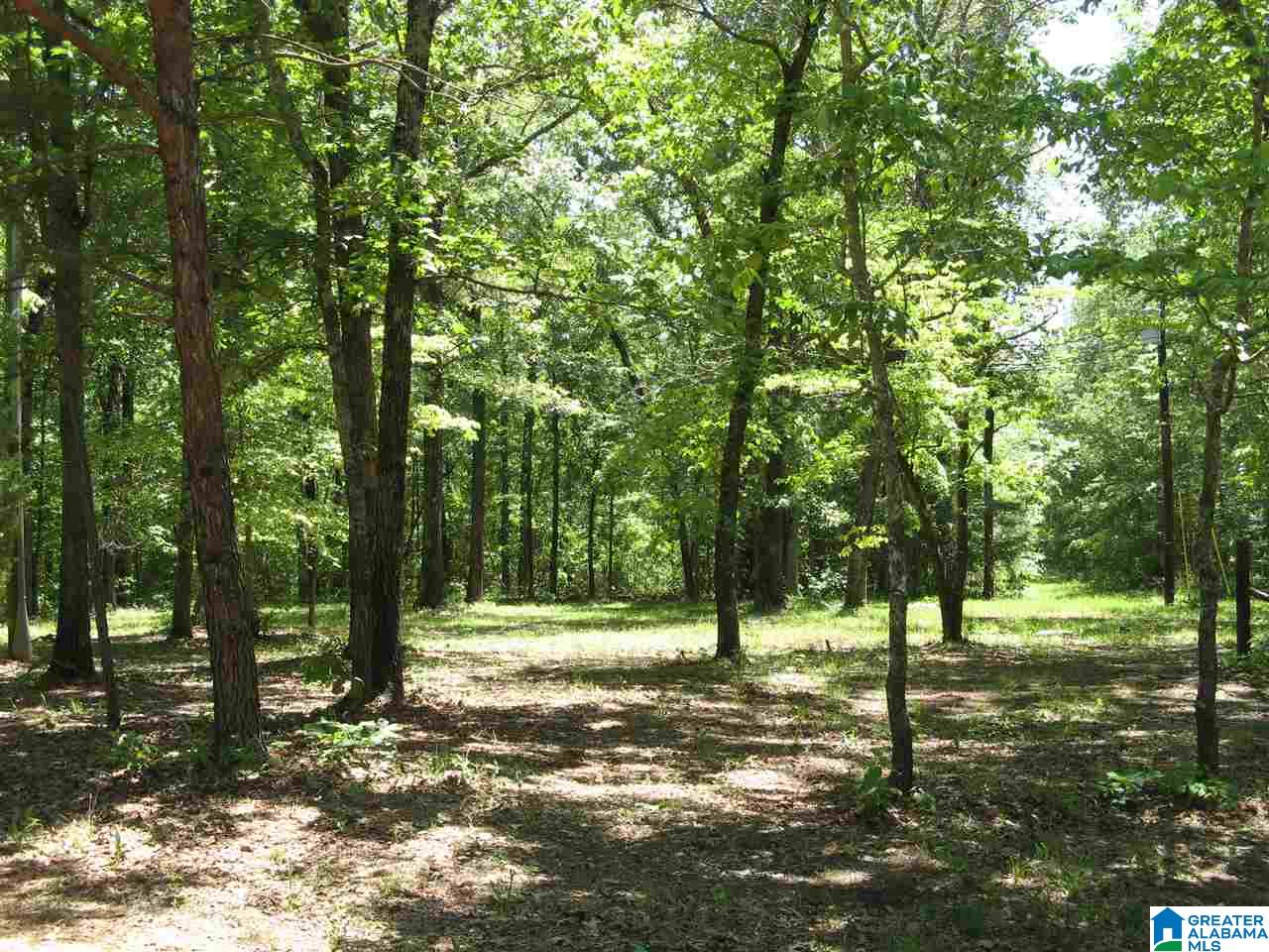 388 South River Road Shelby, AL 35143 - Photo 48 of 50