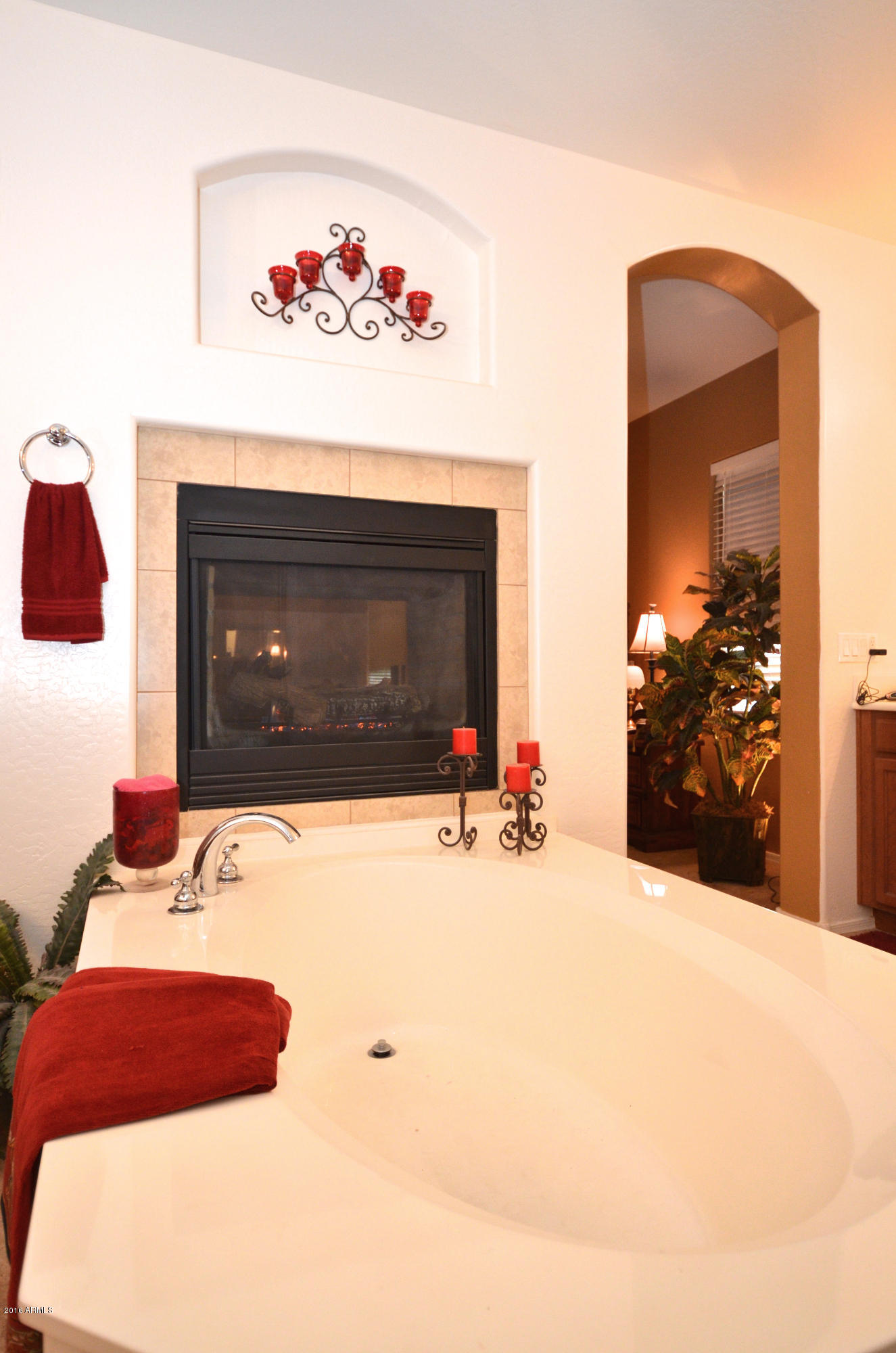 11361 East Spaulding Avenue Mesa, AZ 85212 - Photo 18 of 19 DSC_0395