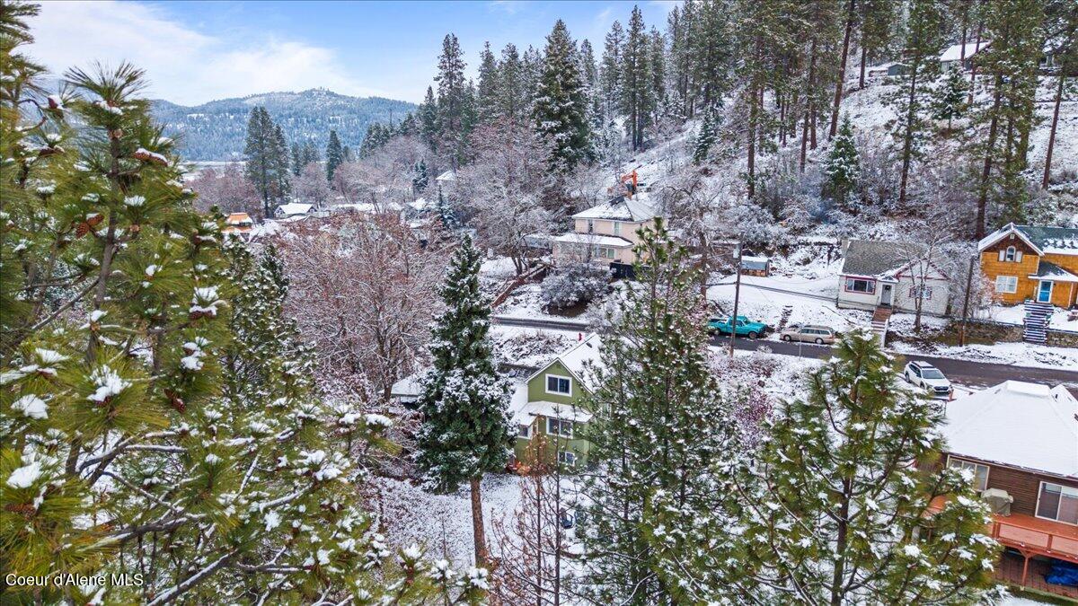 300 Prospect Avenue Harrison, ID 83833 - Photo 66 of 69 113-Nomad Visuals-008
