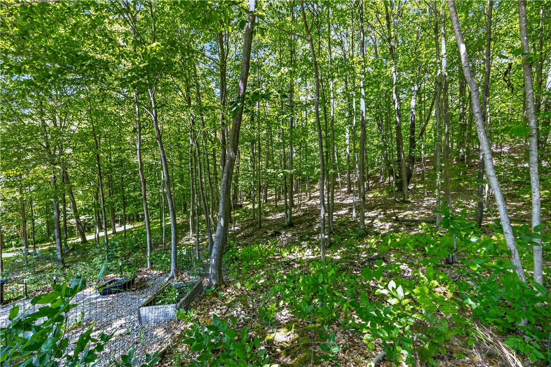 7681 Dutch Hollow Road Springwater, NY 14572 - Photo 48 of 50