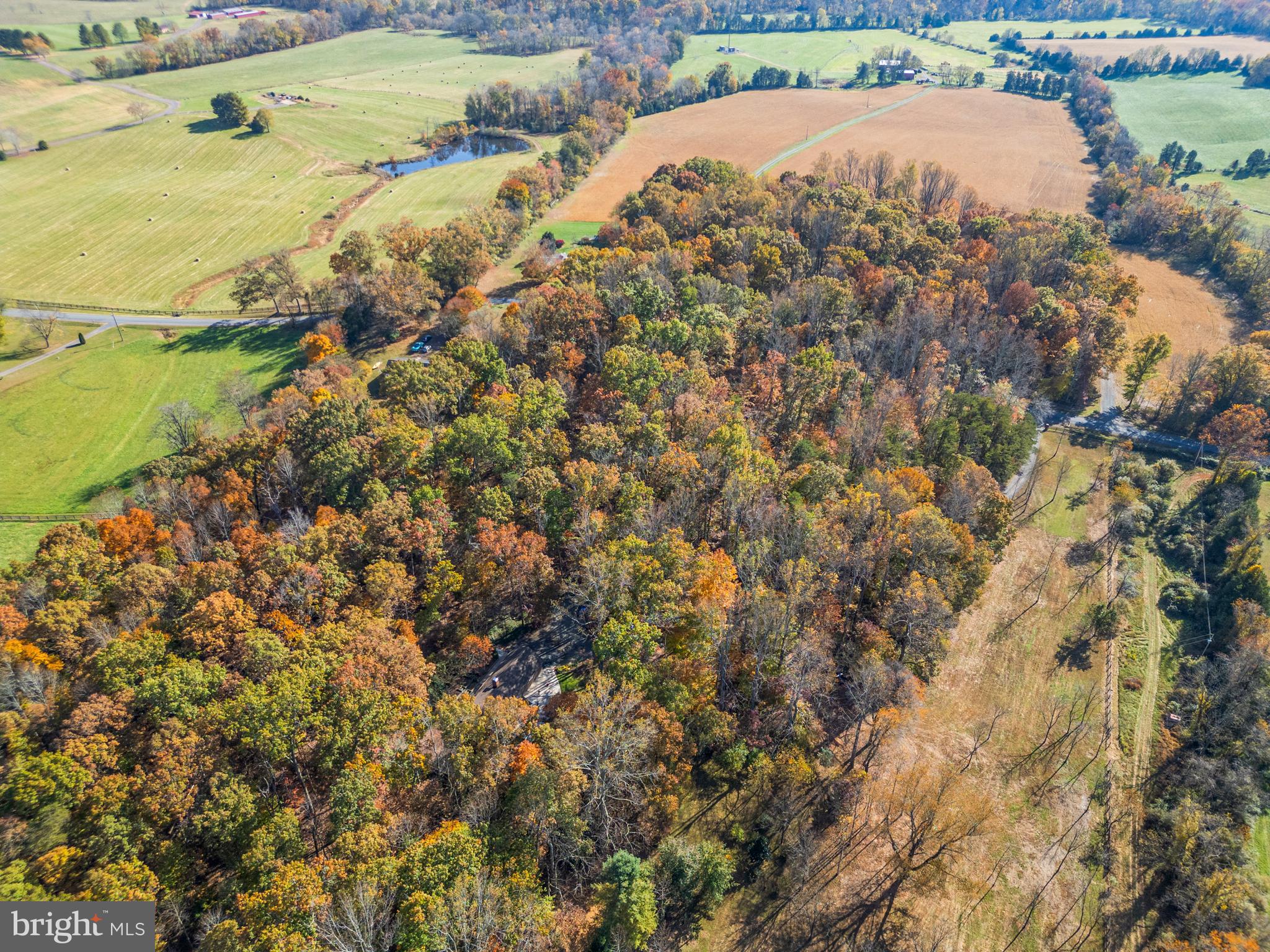 16641 Oak Shade Road Rixeyville, VA 22737 - Photo 60 of 61