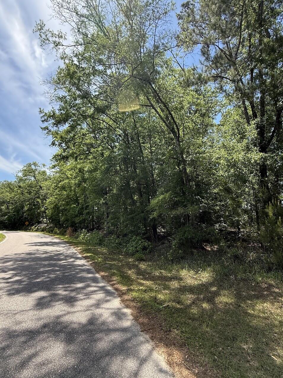 0 Moffett Road Hollywood, SC 29449 - Photo 2 of 13 IMG_0168