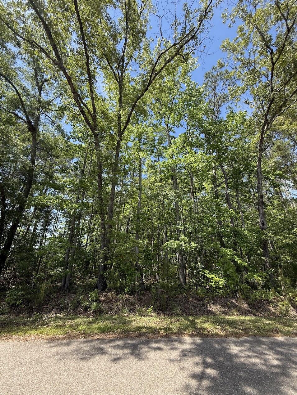 0 Moffett Road Hollywood, SC 29449 - Photo 3 of 13 IMG_0169