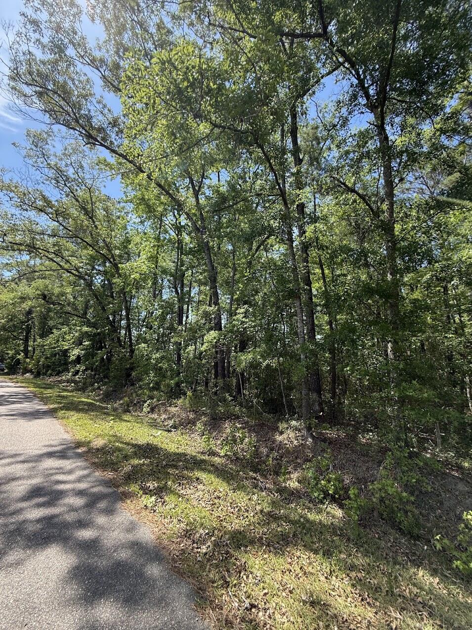0 Moffett Road Hollywood, SC 29449 - Photo 5 of 13 IMG_0171