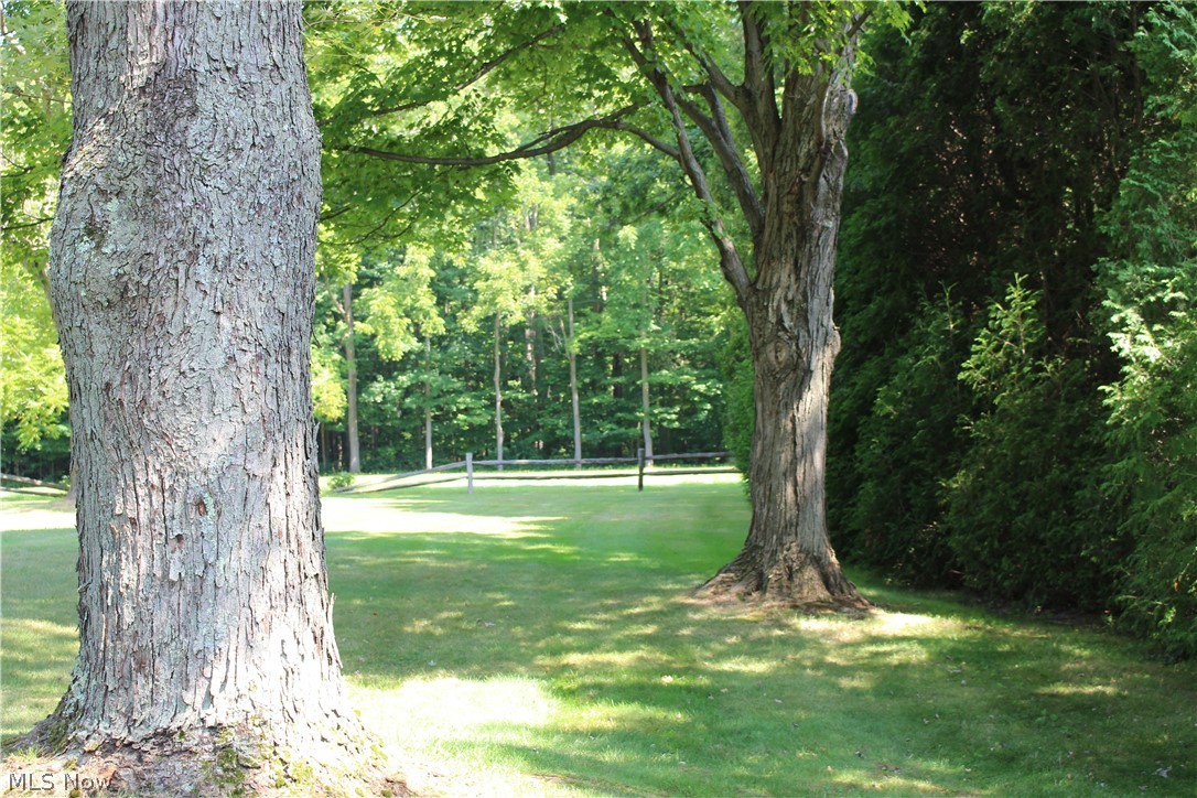 8818 Carnes Road Chagrin Falls, OH 44023 - Photo 29 of 30 View up the east property line looking north. Forsythia and Arborvitae line the right side for privacy.