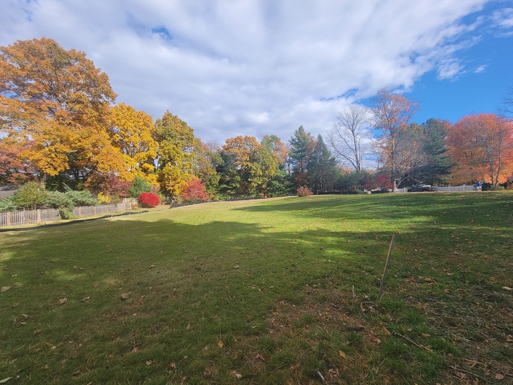 7 Belcher Street Sharon, MA 02067 - Photo 4 of 4 a view of a field with large trees